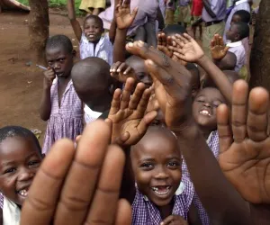 ngo